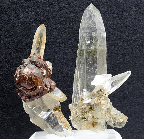 Zwei Quarzkristalle, einer mit Pyrit| H: 6 cm; F: Rauris; Finder: Harald Spuller, Michael Neff
