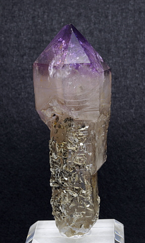 Amethyst| H: 5 cm; F: Floite, Tirol; Sammlung: Walter Ungerank