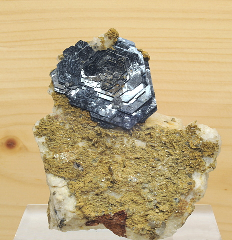 Eisenrose auf Matrix| H: 8 cm; F: Mörchnerkar, Zillertal, Tirol; Finder und Sammlung: Gebrüder Anton und Rudi Watzl (www.watzlminerals.com)