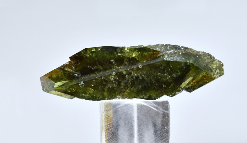 Grüner Titanit-Zwilling| B: ca. 4cm, F: Hollersbachtal; ausgestellt im Museum Bramberg. 