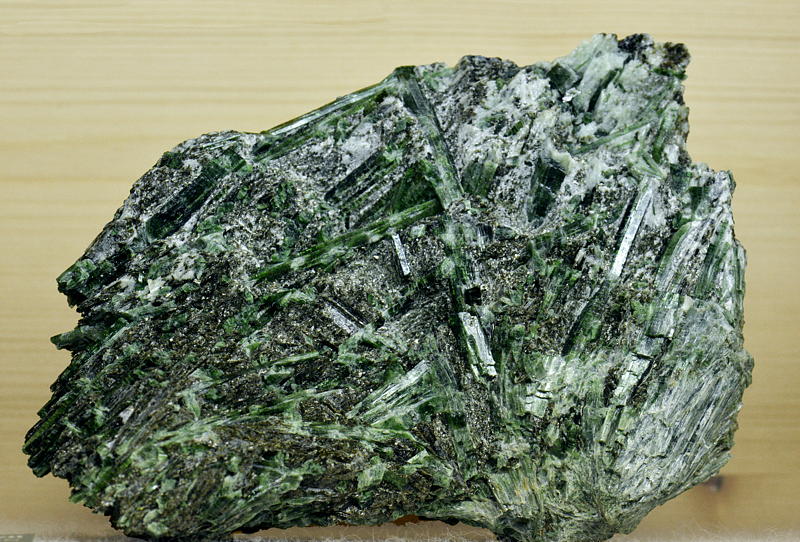 Aktinolith in Talk| B: 14cm, F: Obersulzbachtal; Finder: Kurt Nowak. 