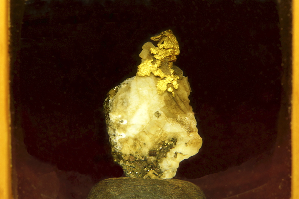 Gold auf Calcit| (in Schatulle) H: ca. 2cm, F: Ankogelgletscher, Anlauftal; Finder: Erwin Zinkl 