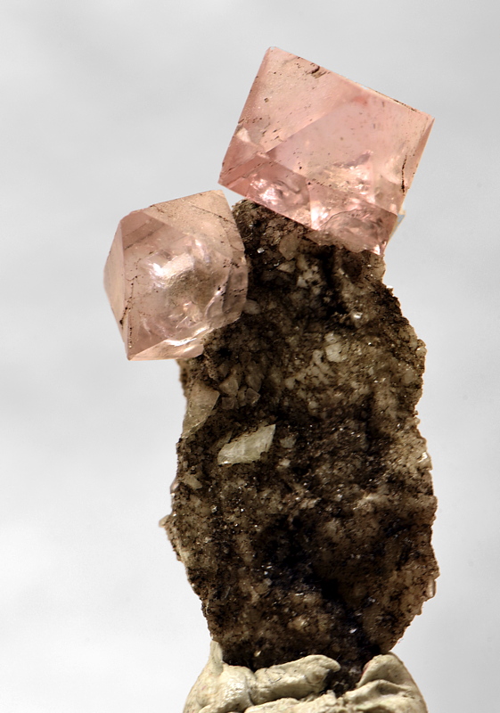 Rosa-Fluorite auf Matrix| H: ca. 5cm, F: Schramacher (1982); Finder: Vinzenz Eller 