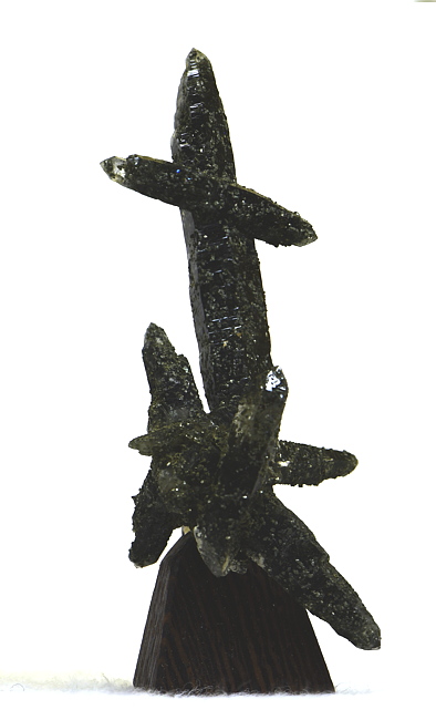 Bergkristall mit Chlorit| H: ca. 6 cm, F: Stubachtal; Finder: H. Vorreiter 