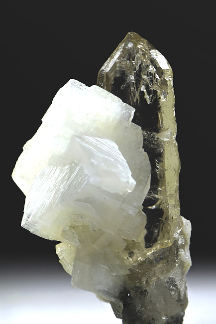 Adular auf Bergkristall| H: ca. 5 cm, F: Stubachtal; Finder: Wolfgang Scharler 