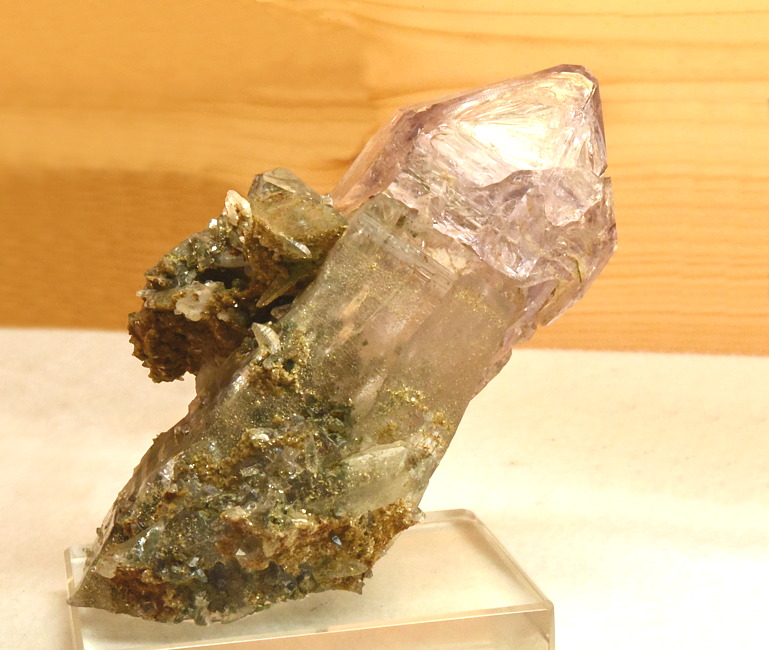 Zepteramethyst| H: 8 cm; F: Saurüssel, Zillertal; Sammler: Erika und Rudolf Planitzer; Fund 1976