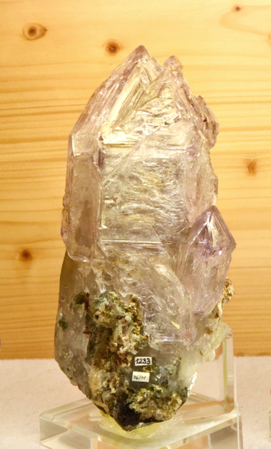 Zepteramethyst gefenstert| H: 15 cm; F: Saurüssel, Zillertal; Sammler: Erika und Rudolf Planitzer; Fund 1976