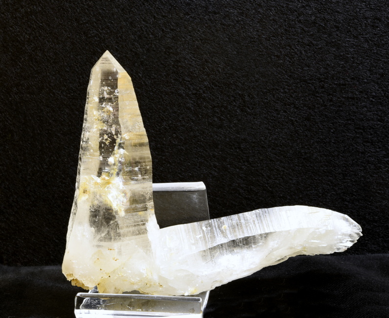 Quarzgruppe mit gebogenem Kristall| B: 15 cm; F: Rauris; Finder: Daum, Grabmeyer, Salchegger 