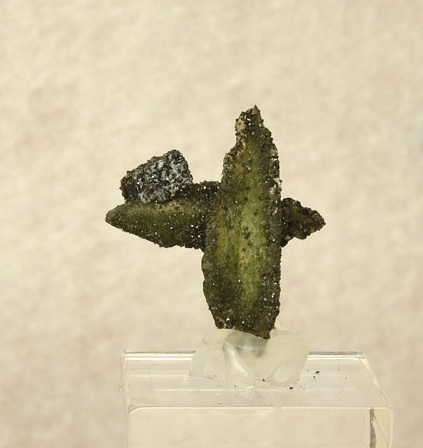 Titanit-Kreuz mit Calcit und Chlorit| H: 2.5 cm; F: Felbertal; Finder: Schmitzer, Bachmann
