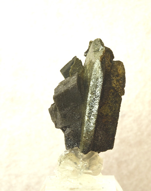 Titanit mit Calcit und Chlorit| H: 3.5 cm; F: Felbertal; Finder: Schmitzer, Bachmann