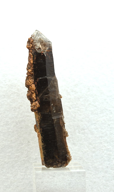 Rauchquarzspitze mit Limonit| H: 6 cm; F: Stubachtal; Finder: Schmitzer