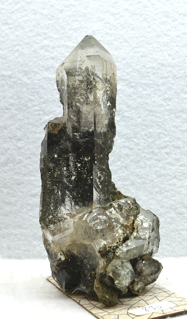 Quarz mit Chlorit| H: 10 cm; F: Gasteiner Tal; Sammler: Gottfried Weinig
