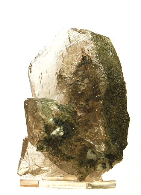 Heller Rauchquarz mit Muskovit und Chlorit| H: 10 cm; F: Habachtal; Finder: Franz Millgramer