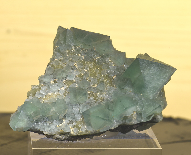 Grüner Fluorit| B: 10 cm; F: Gasteinertal; Finder: Stephan Weghofer, Paul Grösbacher, Franz Bauer, Christoph Langreiter