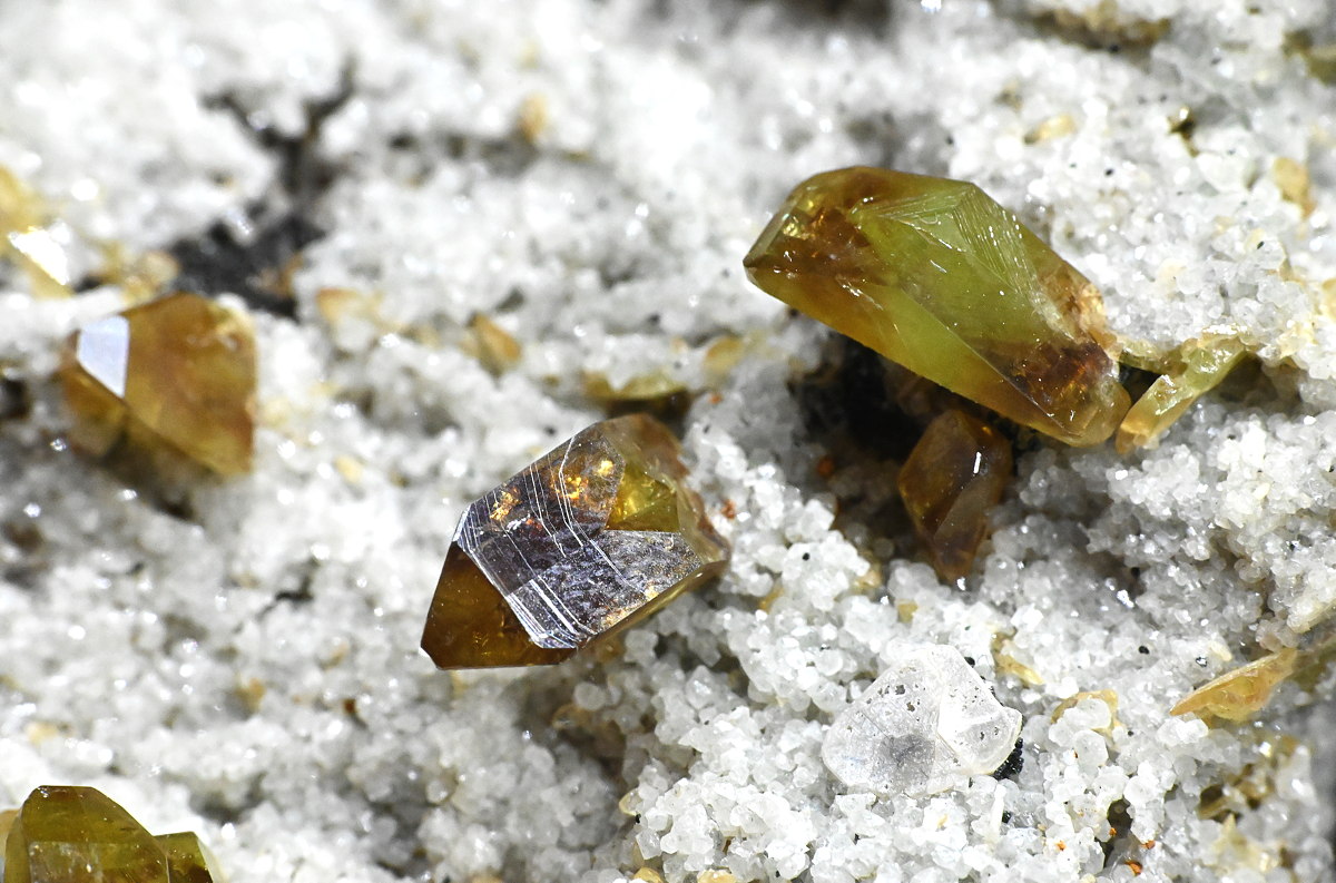 Titanite (Detail von vorherigem Bild)| BB: 4 cm, F: Amertal, Finder: Hans Pleikner und Tobias Bacher