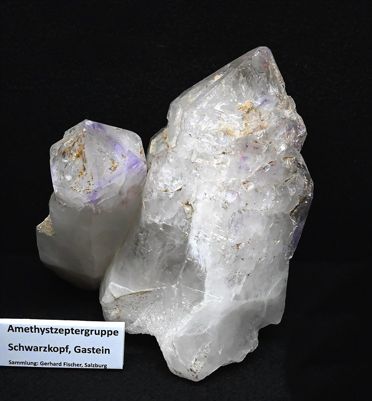 Amethyst-Gruppe| H: 12 cm, F: Schwarzkopf, Gastein, Sammlung: Gerhard Fischer