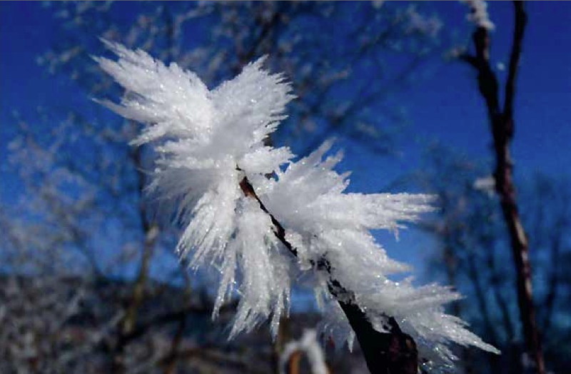 Kristallzauber im Winter|  