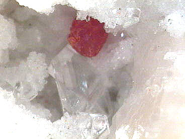 Realgar, Grube Lengenbach, Binntal. Bildbreite 4mm.