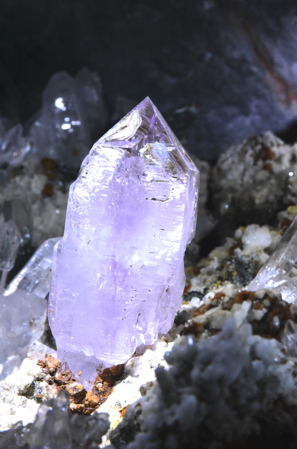 Detailansicht aus der Kluft aus dem Val Canaria, TI | mit amethystfarbenem Zepterquarz; BB: 10 cm; (D75_1624x.jpg)