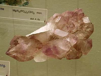 Amethyst - Längthal Binntal VS, (B: ca. 11cm; auf der Etiquette steht '