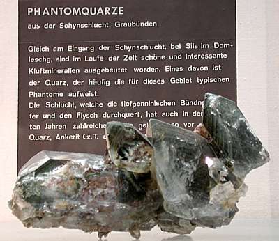 Phantomquarz mit Chlorit - Schynschlucht GR, (B: ca. 13cm). Sehr schön hat die Natur mehrere ehemalige Wachstumsstadien durch Chloriteinlagerungen 'dokumentiert'.