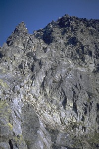 Nach ca. 4 Stunden, steilen Aufstieges sind wir endlich im Fundgebiet angelangt. Da diese Felsen einfach zugänglich sind, ist hier wohl kaum etwas zu machen...