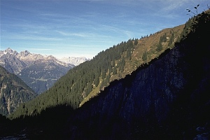 Immer gehts steil aufwärts, - hier haben wir bald die Waldgrenze geschafft.