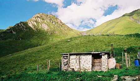 Alp Serenastga und Pez Regina| sattes Grün wartet auf die bald eintreffenden Ziegen und Schafherden, die den Sommer hier verbringen werden. 