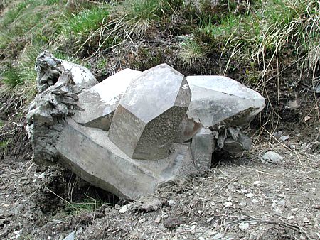 Eine schöne Gruppe| Breite: ca. 50cm, wartet vor dem Ausgang auf den späteren Abtransport. 