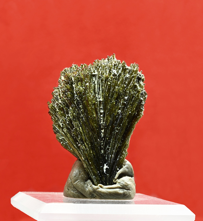 Epidot-Bündel, H: 4 cm; F: Val Cristallina (GR)| Privatsammlung