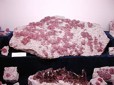 Grosse Rosafluoritstufe, vom Zinggenstock. Die Stufe ist ca. 70 cm. breit.