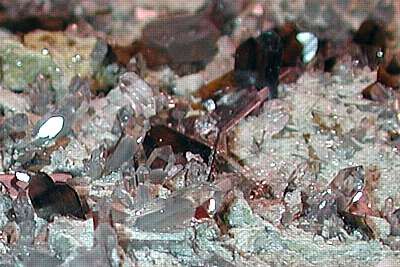 Schöne Brookitstufe, aus dem Gebiet um Elm (Glarus). Die dünnen dunkeln tafeligen Kristalle messen bis zu 2 cm, die Stufe ist 20 cm breit und 5 cm hoch.