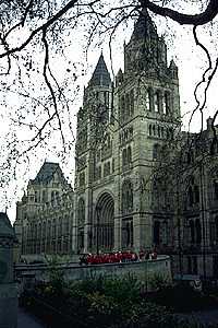 Das British Natural History Museum, von aussen - ein ehrwürdiges Gebäude. Zur 