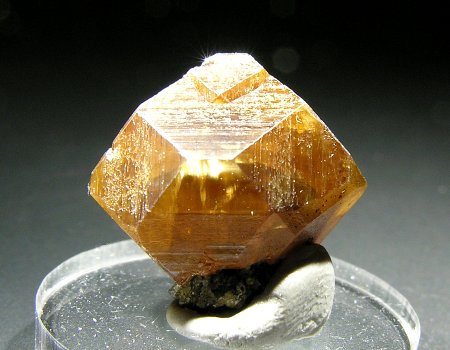 Honiggelber Anatas - Modelleinzelkristall| (Binntalhabitus); Binntal; B: 1.4cm (Sammlung Eric Asselborn)