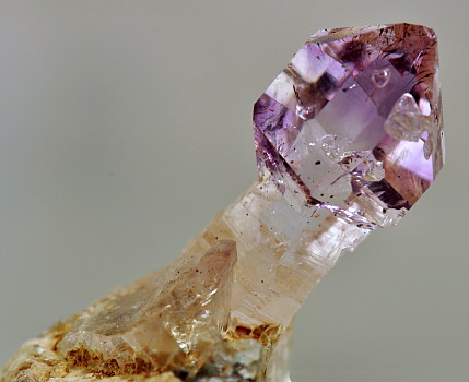 Zepter-Amethyst| F: Alpe Scimfüs, TI;  LK: 5cm (Sammlung Delio Stefana)