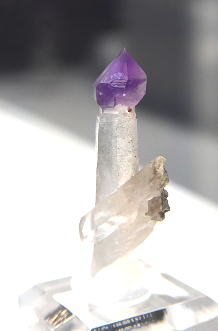 Amethyst-Zepter| H: 5 cm; F: Fieschergletscher, VS/CH; Sammlung: Privatsammlung