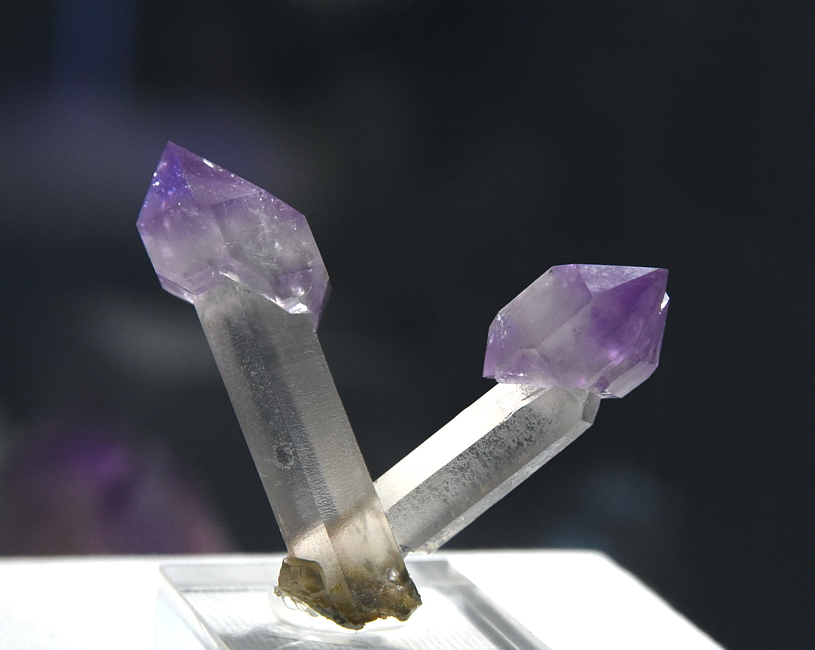 Zwei Zepteramethyste| B: 5 cm; F: Fieschergletscher, VS/CH; Sammlung: Caprices Minerals