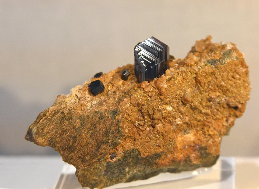 Rutil (Kniezwilling) auf Matrix| B: 10 cm; F: Griesgletscher, VS/CH; Sammlung: Saphira Minerals