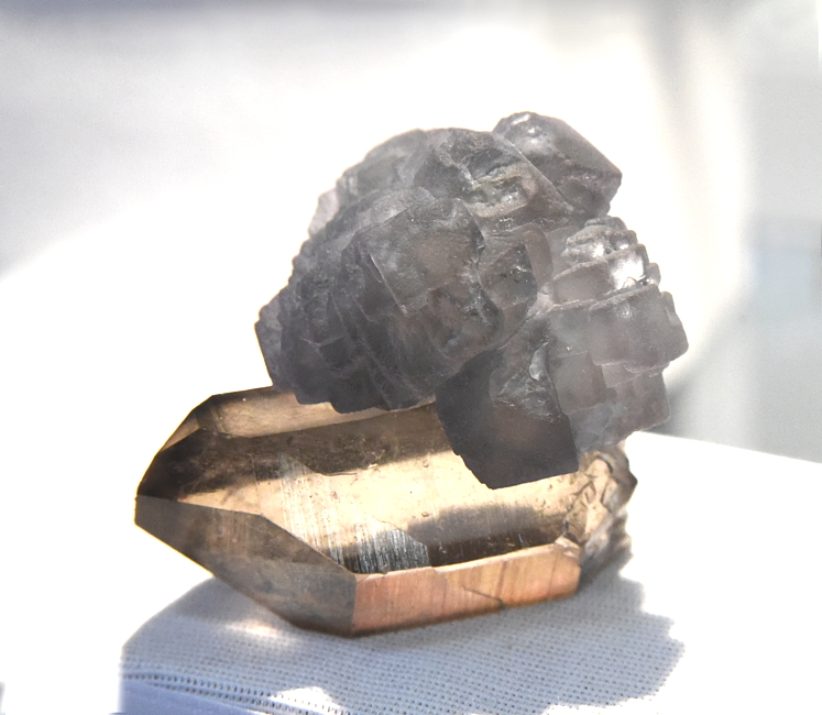 Graublauer Fluorit auf Rauchquarz| B: 6 cm; F: Aiguille verte, Mont Blanc, F; Sammlung: Robert Brandstetter