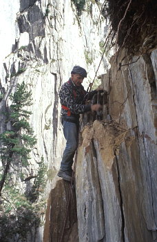 Remigi löst Felsen| in der Cavradi um an neue Klüfte zu gelangen 