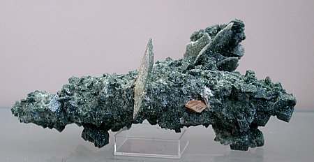 Titanit, Adular, Calcit, Chlorit, Tobel Drun, Tavetsch, GR| B: ca. 9cm [7948]