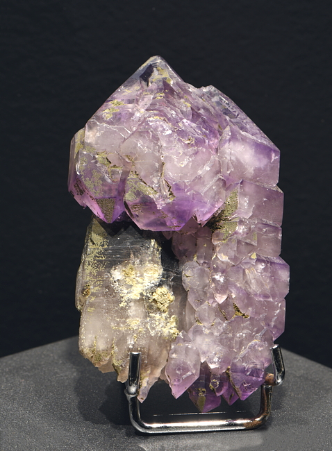 Zepter-Amethyst-Gruppe| H: 10 cm; F: Binntal, VS; Sammlung: Thilo Arlt