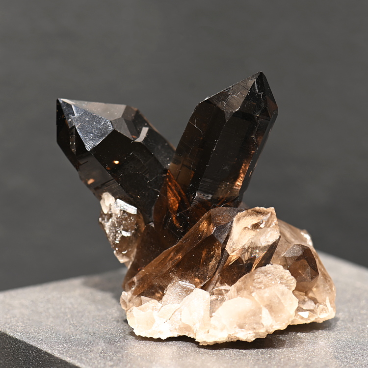 Rauchquarz-Gruppe| H: 6 cm; F: Göscheneralp, UR; Sammlung: Daniel Fedier