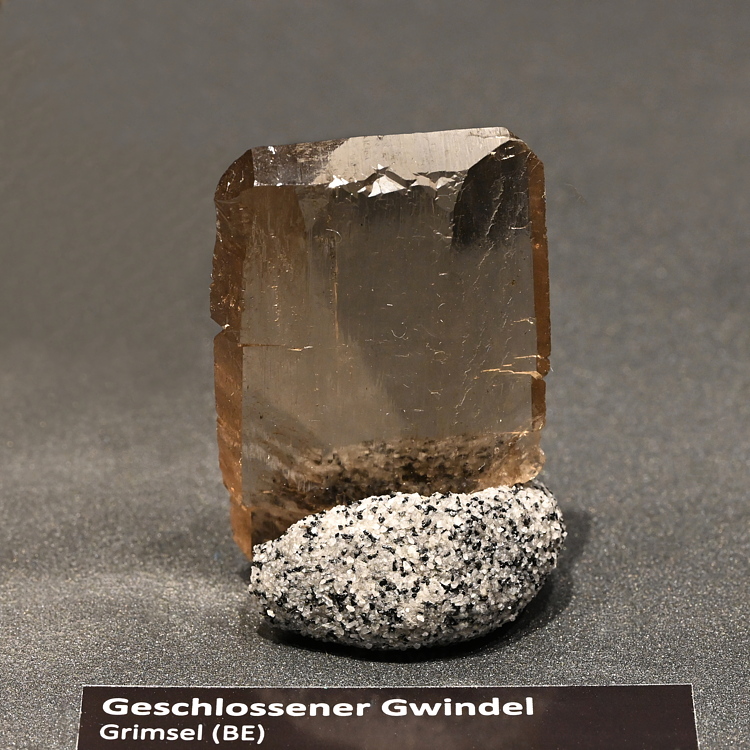 Geschlossener Gwindel| H: 4 cm; F: Grimsel BE; Sammlung: Beat Teige