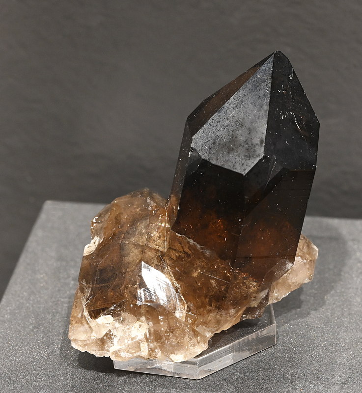 Rauchquarzgruppe| B: 8 cm; F: Göscheneralp UR; Sammlung: Peter Buchmann