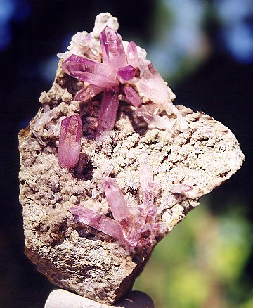 Amethyst; Vera Cruz - Mexico, Breathtaking and gorgeous sprays of Violet Amethyst clusters! On a sparkling drusy matrix, the plate measures a cabinet sized 5.5