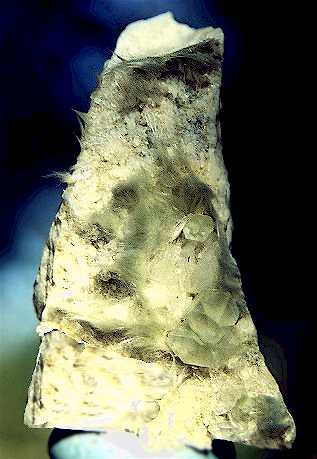 Actinolite var. Byssolite; Meitschligen - Switzerland, It looks like swirling hair but it's really Actinolite var. Byssolite! From Meitschligen, Uri, Switzerland. Measures 3.5