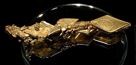 Goldkristalle (flach)| B: 6 cm; Californien, USA. (Harvard Mineralogical Museum)