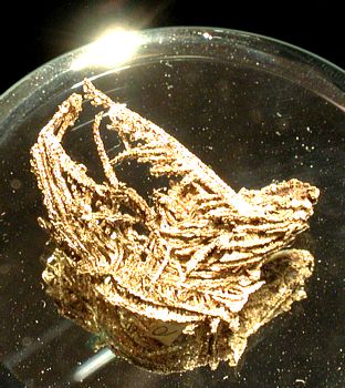 Goldbäumchen| B: 2.7 cm; Greaterville, Pima Co., AZ, USA. (University of Arizona Mineral Museum)