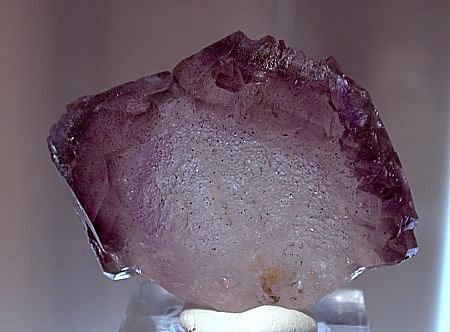 Amethyst-Szepter-Japanerzwilling| B: 7 cm; Fundort: Andilamena, Tamatave, Madagaskar;